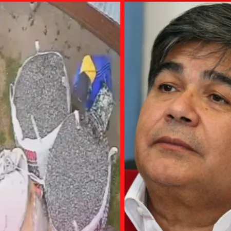 Ishii echó al empleado que le robó materiales a jubilados